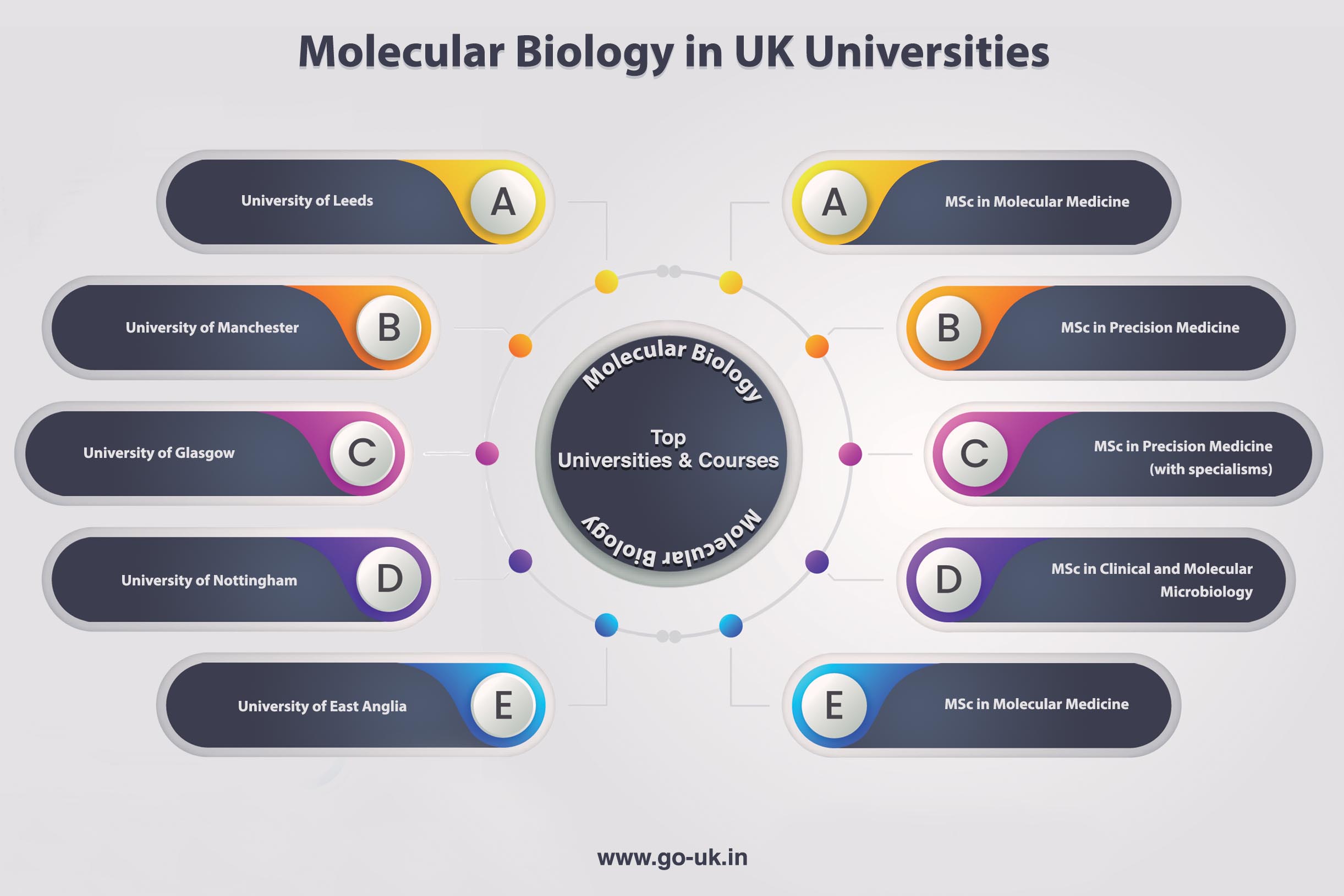 Molecular Biology in UK Universities